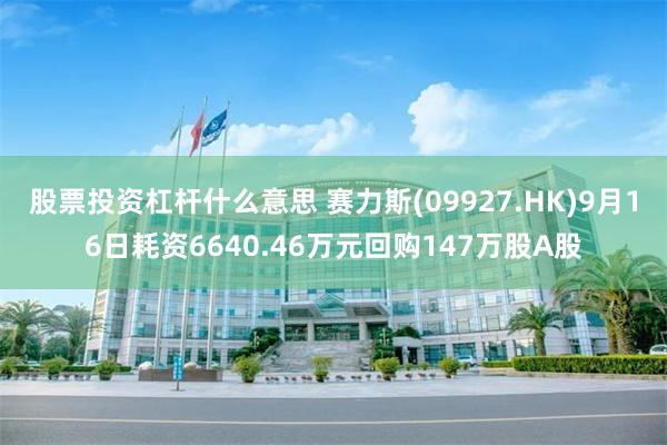股票投资杠杆什么意思 赛力斯(09927.HK)9月16日耗资6640.46万元回购147万股A股