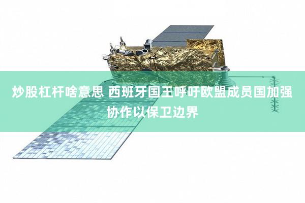 炒股杠杆啥意思 西班牙国王呼吁欧盟成员国加强协作以保卫边界