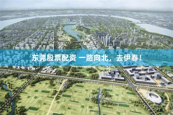东莞股票配资 一路向北，去伊春！