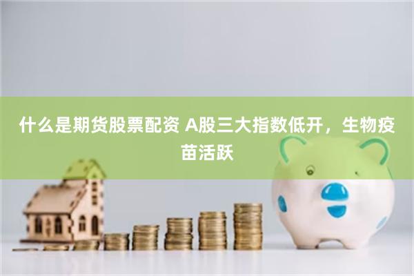 什么是期货股票配资 A股三大指数低开，生物疫苗活跃