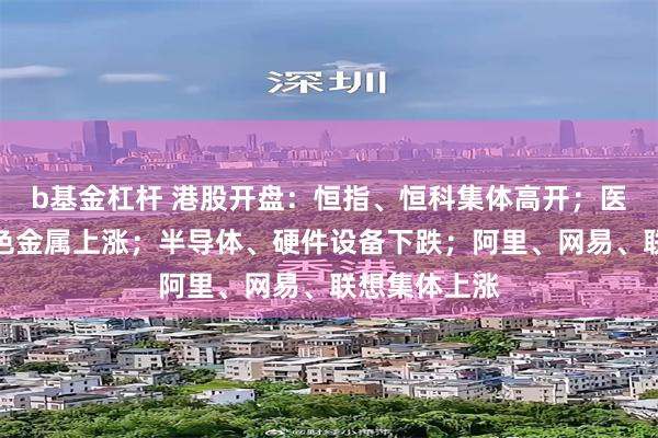 b基金杠杆 港股开盘：恒指、恒科集体高开；医药生物、有色金属上涨；半导体、硬件设备下跌；阿里、网易、联想集体上涨