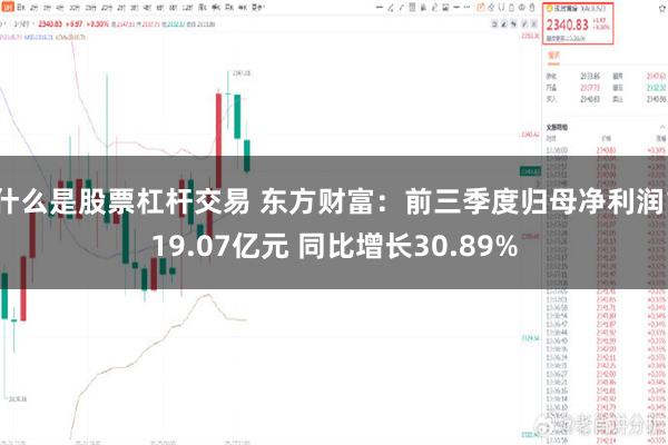 什么是股票杠杆交易 东方财富：前三季度归母净利润119.07亿元 同比增长30.89%