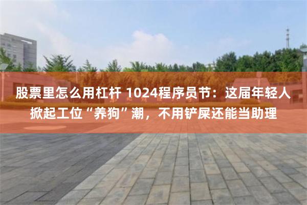 股票里怎么用杠杆 1024程序员节:这届年轻人掀起工位“养狗”潮,不用铲屎还能当助理