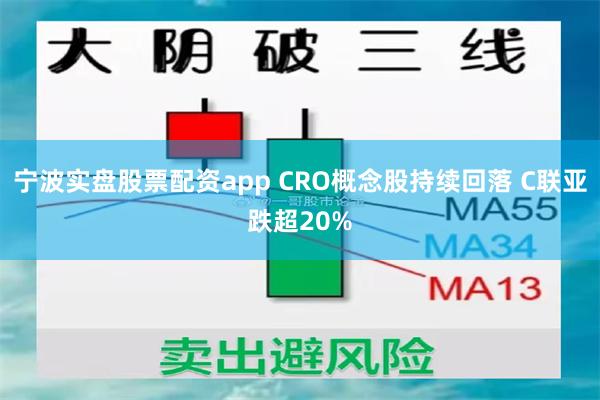 宁波实盘股票配资app CRO概念股持续回落 C联亚跌超20%