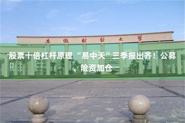 股票十倍杠杆原理 “易中天”三季报出齐！公募、险资加仓